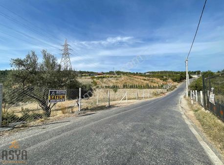 Belenbaşı-karacağaç Arasında Ana Cadde Üzeri/asfalta Sıfır Arazi