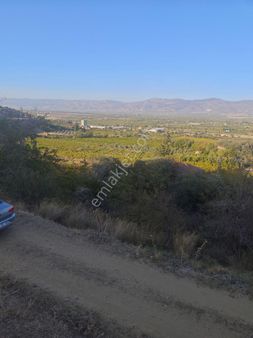 Manisa Alaşehir Badıncada Satılık Arazi