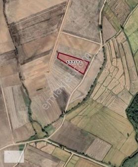 Edirne Uzunköprü Değirmenci Köy De 1711 M2 4 / 1 Hisse Arsa