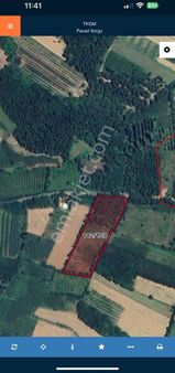 Sevgi Emlaktan Satılk Fırsat Fındıklık Bahçesi