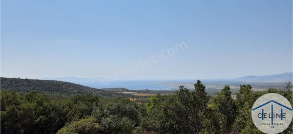 Zeytindağda Eşsiz Manzaralı 1 Dönümü Hisseli 9.3 Dönüm Zeytinlik