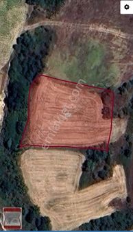 Kavakdere Köyü Çiftlikler Bölgesinde 2400 M2 Satılık Tarla