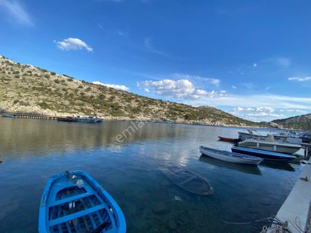 Taşlıca'da Düzlük Alanda Tarla