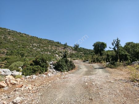 Söğüt'te Yola Yakın Konumda Düzlük Alanda Tarla