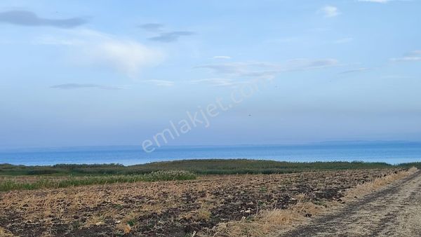 Bandırma Çepni De Göle Sıfır Satılık 9600 M2 Tarla