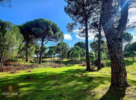 İzmir Bergama Göbeller Bahçe Satılık