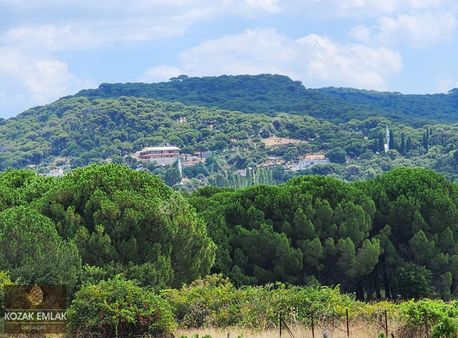 Bergama Kozak Aşağıbey Eski Bağ Satılık