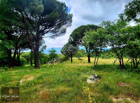 Bergama Kozak Kıranlı 40 Dönüm Çiftlik Arazisi Satılık