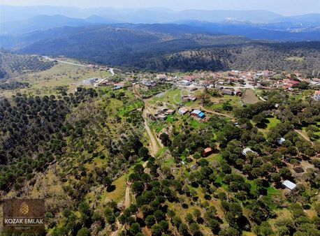 Ayvalık Hacıveliler Tarla Tarım İmarlı Satılık