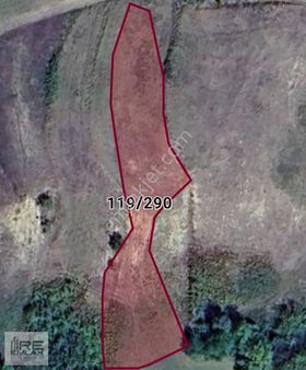 Kandıra Elmacık Ta Acil Satılık 1600 M2 Tarla