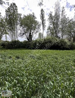 Hisarlikaya Ev Bahçe Yeri Tek Tapu Konumlu