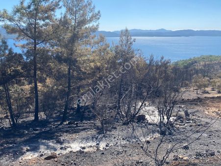 Selda Kozalı'dan Kıran Sahilinde Deniz Manzaralı Satılık Arsa