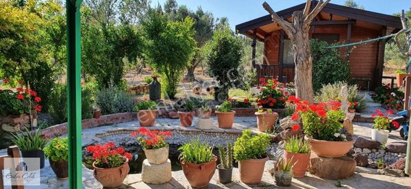 Alaçatı 'da İmara Yakın 11098 M2 Tarla