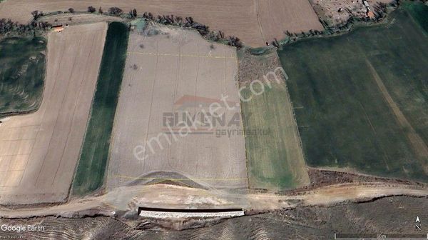 Güvenay - Çorum Yaydiğin İmar Sınırında 19,526 M² Satılık Tarla