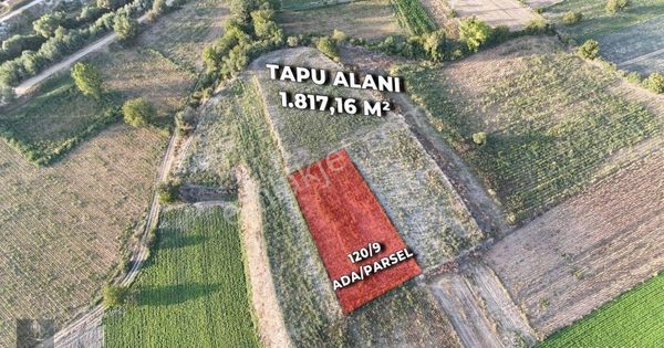 Köprühisar Mahallesi Yatırımlık Tarla Bursa/yenişehir