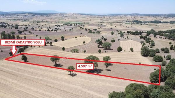 Kütahya Merkez Ahiler'de 4597m2 Satılık Tarla