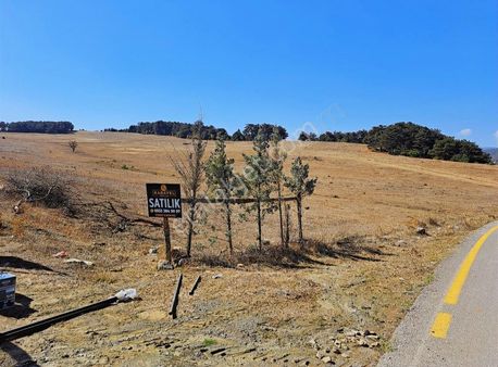 Pamukova Çileklide Satılık Kelepir Arazi Ve Bağ- Bağçe