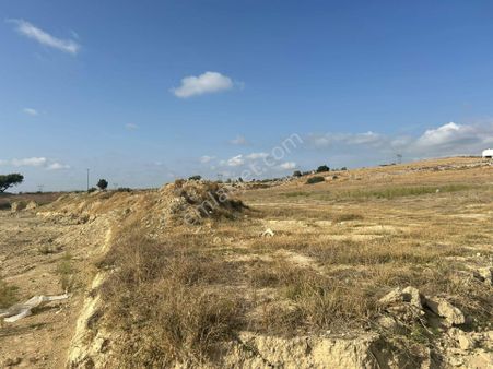 Yolu Elektriği Suyu Olan İfrazı Yapılmış Arazi