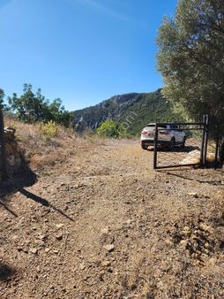 Antalya Gazipaşa Ilıca Mahallesinde Satılık Kurulu Duzen Bahçe