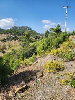 Antalya Gazipaşa Ilıca Mahallesınde Bahce Yapımına Uygun Tarla