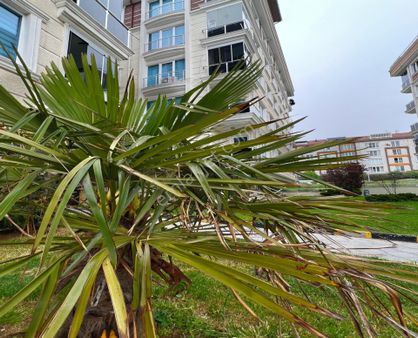 Gayrimenkulist'den 2+1 Lüx Yapılı Kelepir Daire