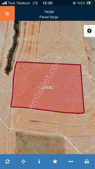 Toprak Emlak'tan Ankara Balâ Abazlı Mahallesinde 31100 M2 Satılık Tarla