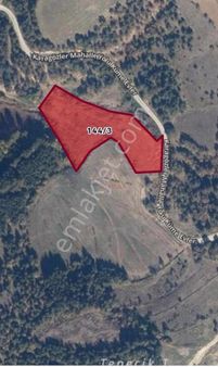 Bolu Merkez Pelitçik Köyünde Mudurnu Yoluna Yakın Asfalt Yola Cephesi Olan 8.826 M2 Satılık Tarla