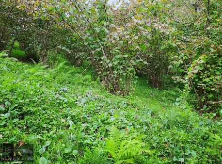 Kuzey City Gayrimenkul Den Vakfıkebirde Satılık Fırsat Arazi