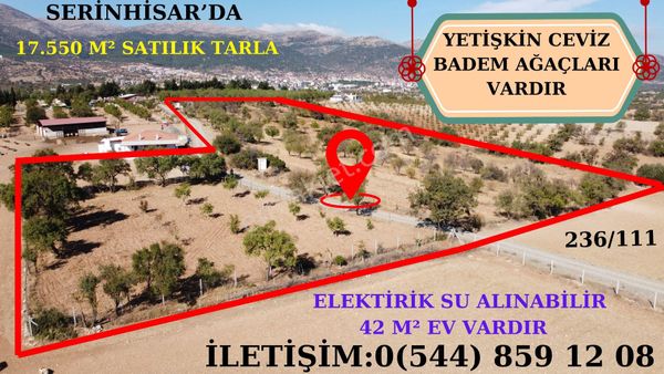 Serinhisar'da Satılık 17.550 M² Badem Ve Ceviz Bahçesi