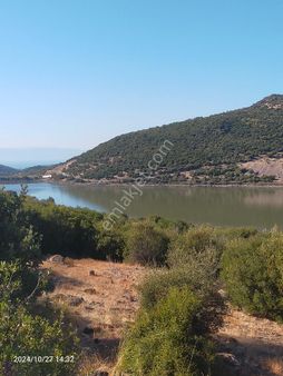 Saadet Korkmaz Emlak'tan Dikili Katıralanı Köyünde 23 Dönüm Baraja 100 Mt Satılık 23 Dönüm Tarla