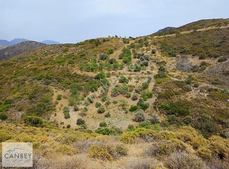 Datça Belenköy'de 9.720 M2 Bademlik