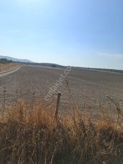 Foça Gerenkoyde 30 Bin Mk Arazim Acil Satilik