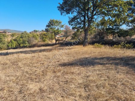 Han Emlak Otomotiv'den Kaz Dağları Eteğinde Satılık Arsa