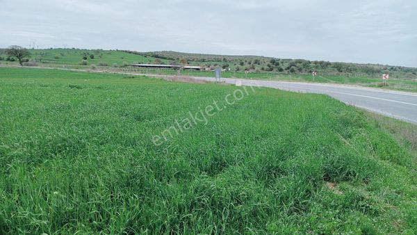 Çanakkale Ezine Üvecik Köyü 18 Dönüm 531.55 M2 Petrol Ofisi Olur Fabrikası Kurulabilir
