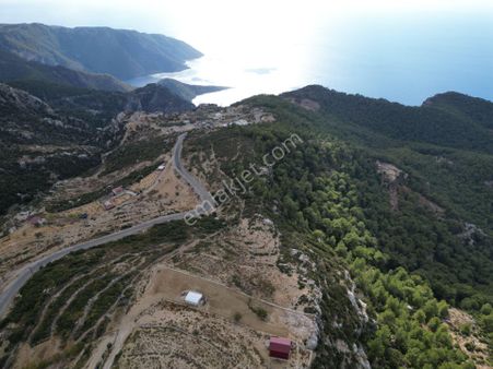 Goldhouse Dan Satılık Tarla Panoramik Deniz Manzaralı Fırsat Tarla