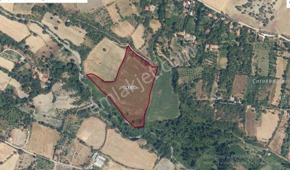 Tosya Emlak - Satılık 28 Dönüm Bahçe (çatak)