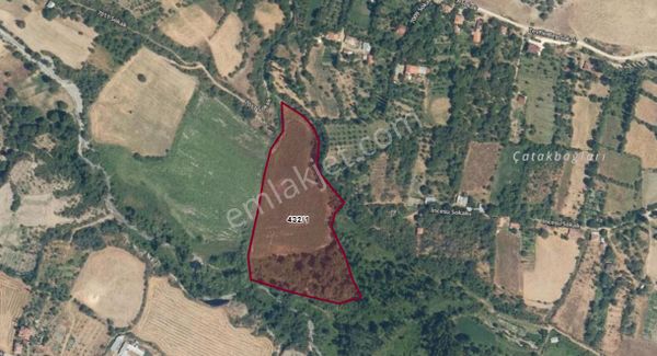 Tosya Emlak - Satılık 23 Dönüm Bahçe (çatak)