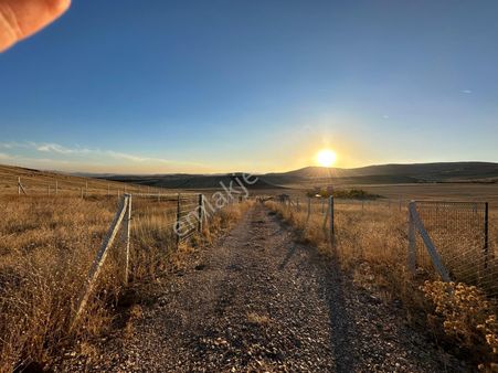 Çubuk Yazır Mahallesinde Lansman Fiyatına Bahçeler