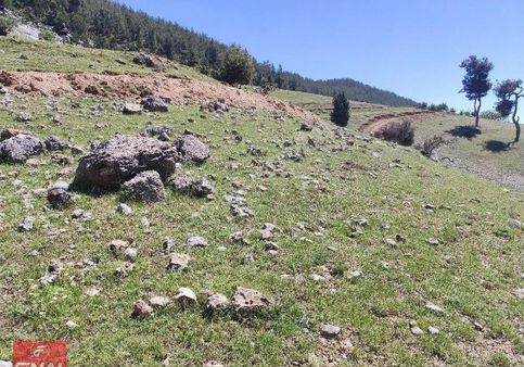 Final Gayrimenkul Den Tarsus Olukkoyağında 803m² Satılık Arsa