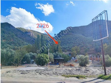 Kıyametin Uğramayacağı Şirince'de Satılık Zeytinlik