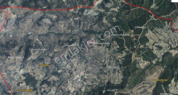 Kıyametin Kopmadığı Şirince'de Satılık Zeytinlik