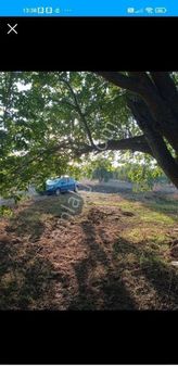 Yeliz'den Geniş Arazi