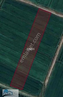 Eral Gayrimenkul'den Manyas Hamamlı'da Satılık 8325m2 Tarla