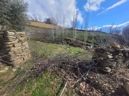 Meta'dan Yol Kenarı Elektrik Su Olan Bahçe