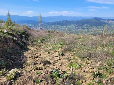 Kooperatif Hissesi Fiyatına Manzaralı Müstakil Arsa