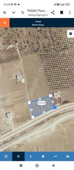 Akziyaret Emlak Tan Satılık 2 Dönüm