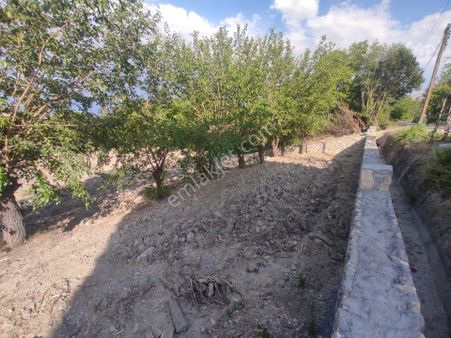 Orduzuda Aslantepe Höyüğüne Yakın Konumda Satılık 2 Dönüm İmarlı Arsa