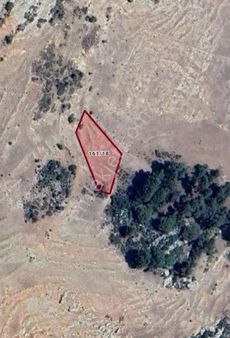 Rw Budur’dan Akarca’da 1246 M2 Alana Sahip Satılık Tarla