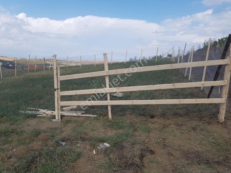 Yalova Çiftlikköy Gacık Köyü Mevki Satılık Tarla
