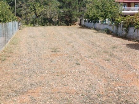 Ns Global Emlak Dan Satılık Tarla